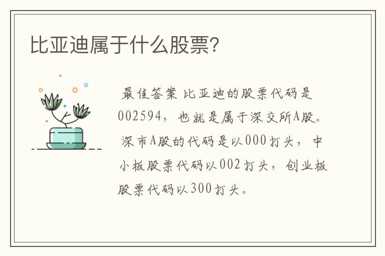 比亚迪属于什么股票？