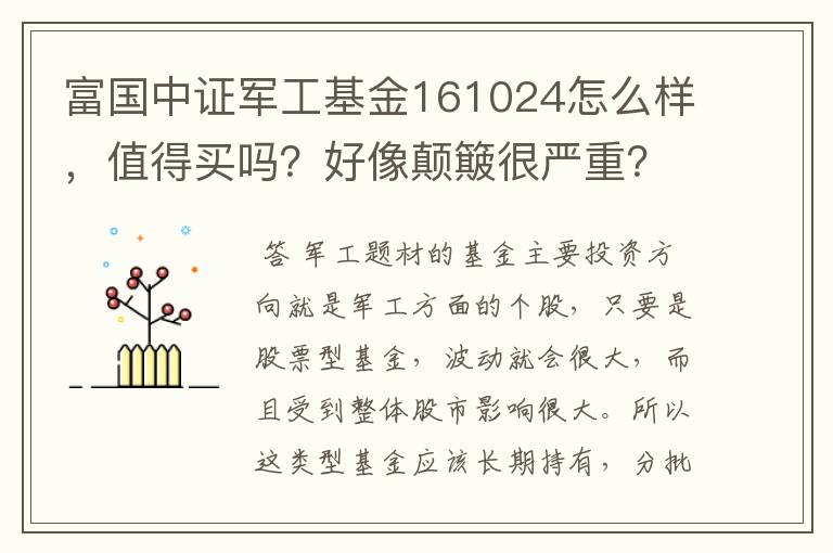 富国中证军工基金161024怎么样，值得买吗？好像颠簸很严重？