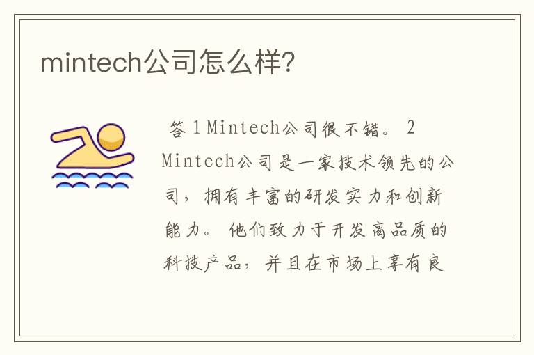 mintech公司怎么样？