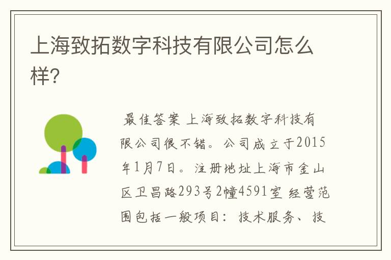 上海致拓数字科技有限公司怎么样？