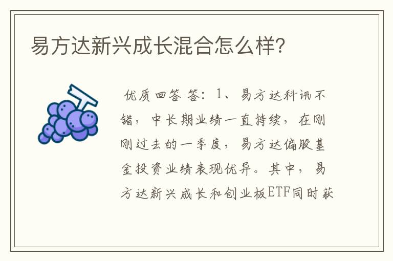 易方达新兴成长混合怎么样？