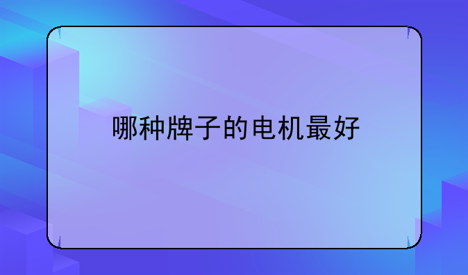 哪种牌子的电机最好