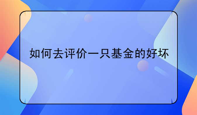 如何去评价一只基金的好坏