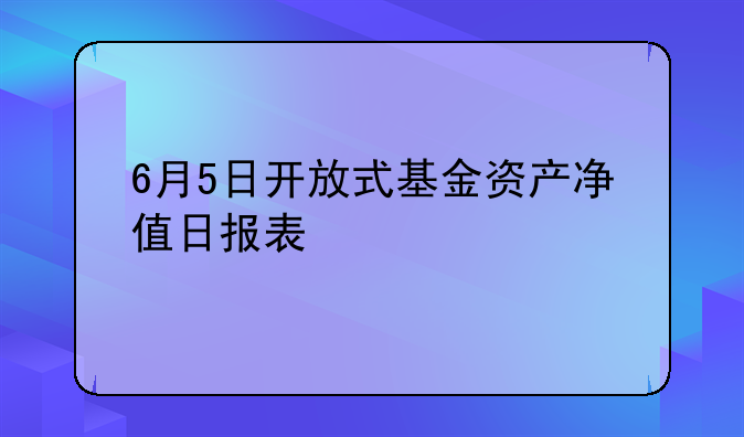 6月5日开放式基金资产净值日报表