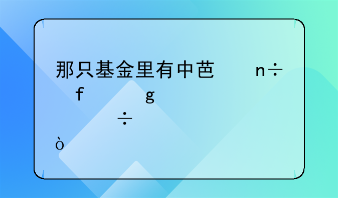 那只基金里有中芯国际这个股份？