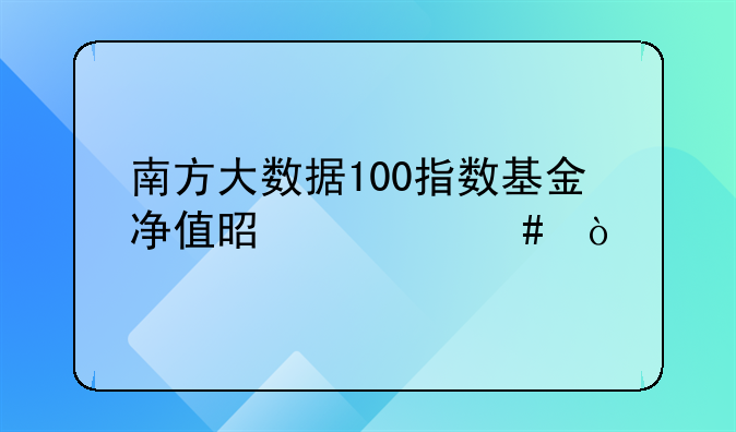 南方大数据100指数基金净值是什么？