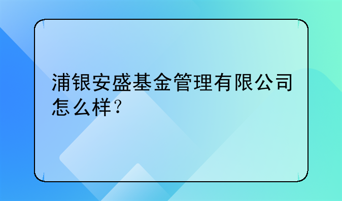 浦银安盛基金管理有限公司怎么样？