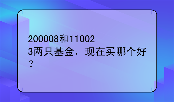 200008和110023两只基金，现在买哪个好？