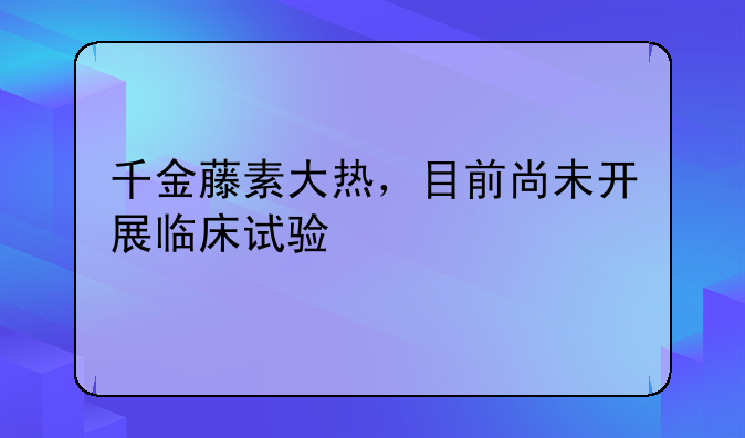 千金藤素大热，目前尚未开展临床试验