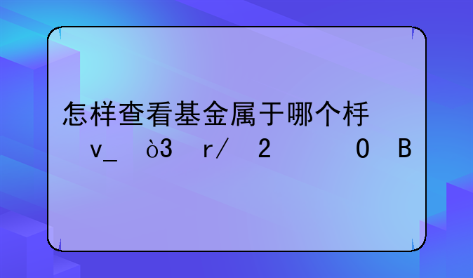 怎样查看基金属于哪个板块，看持仓吗