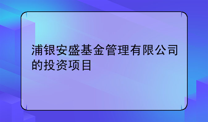 浦银安盛基金管理有限公司的投资项目