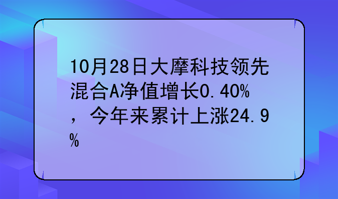 10月28日大摩科技领先混合A净值增长0.40%，今年来累计上涨24.9%