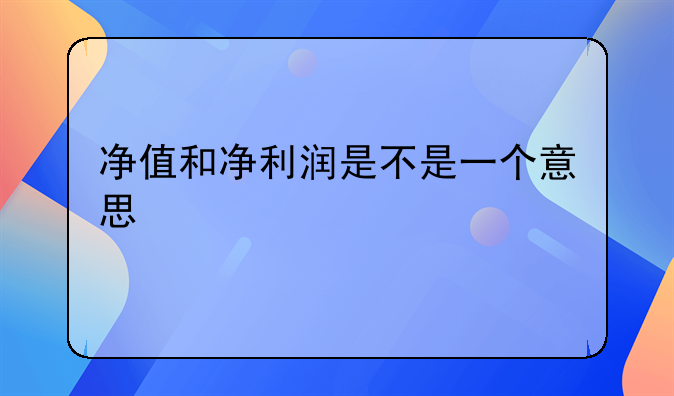 净值和净利润是不是一个意思